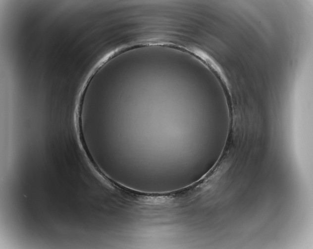 X0000088751429200705311504