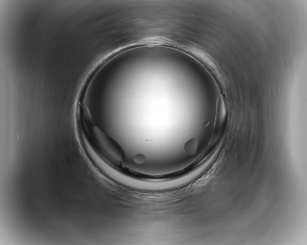 X0000088751430200705311504