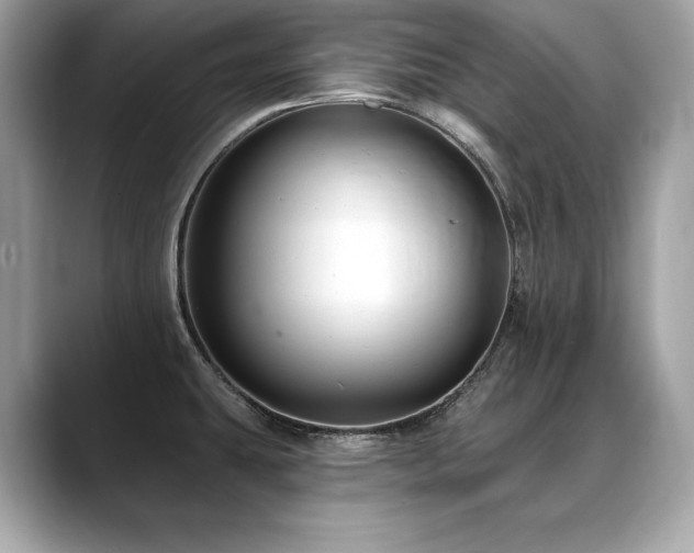 X0000088751431200705311504