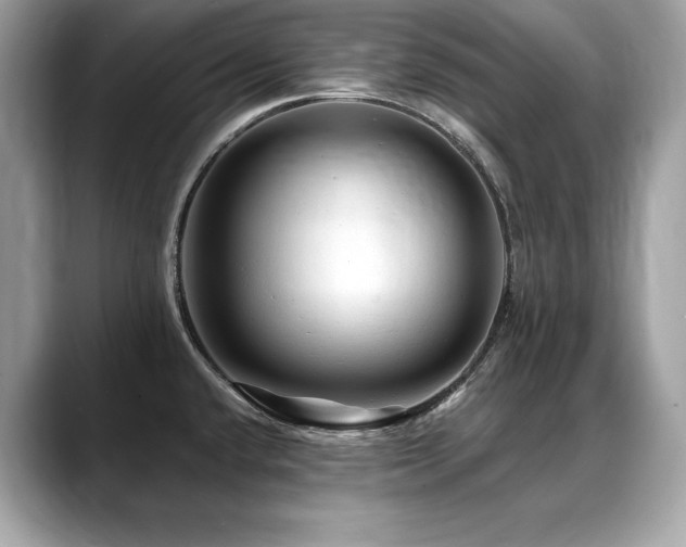 X0000088751432200705311504