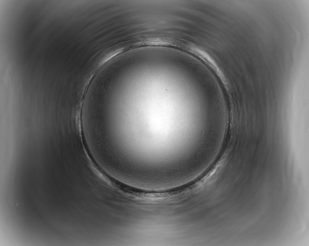 X0000088751433200705311504