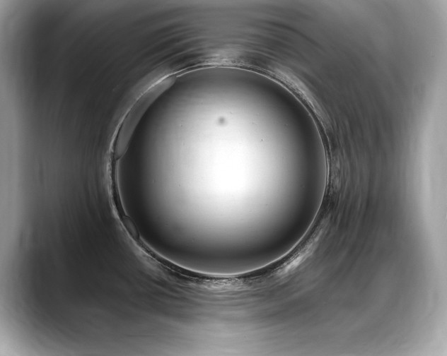 X0000088751434200705311504