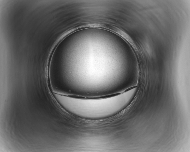 X0000088751436200705311504