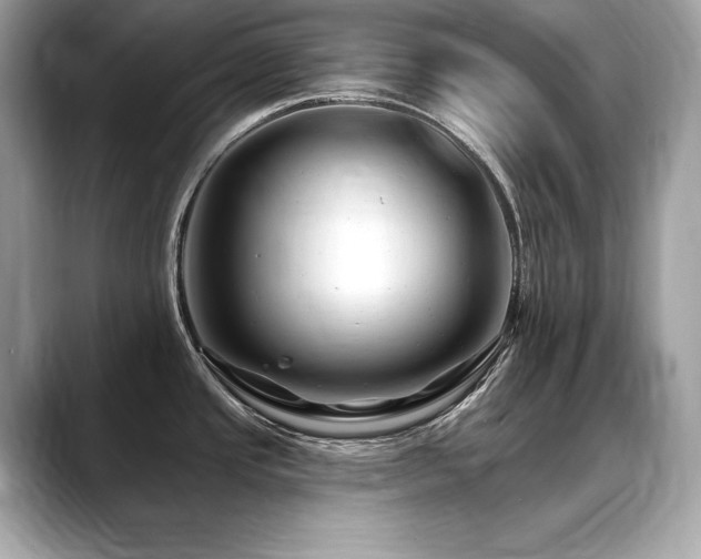 X0000088751437200705311504
