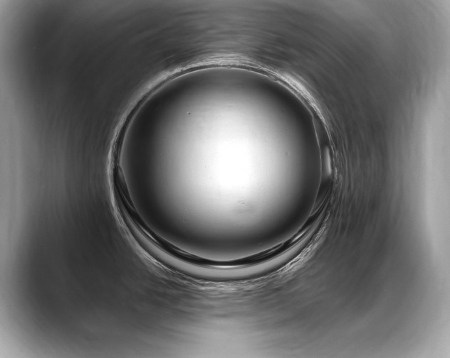 X0000088751438200705311504