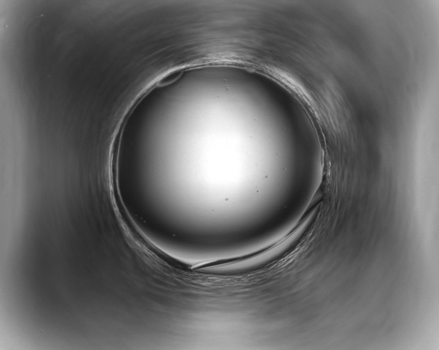 X0000088751439200705311504