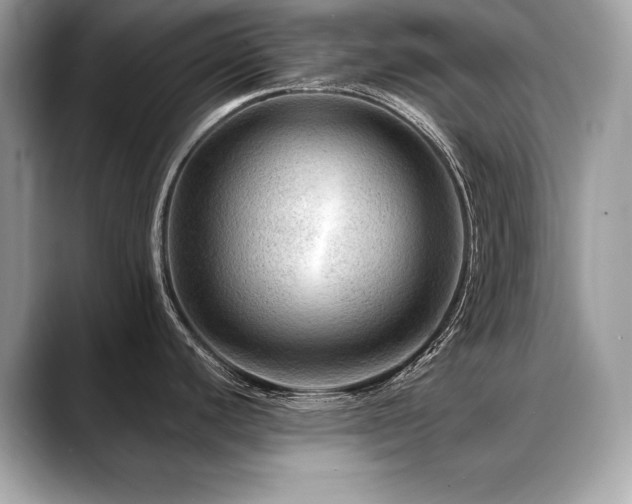 X0000088751440200705311504