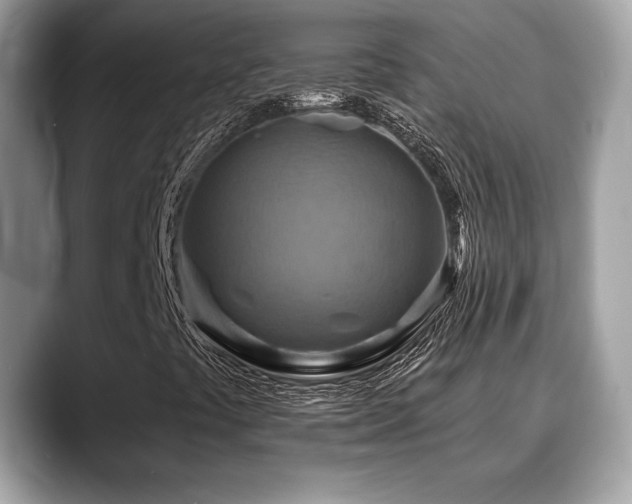 X0000088751441200705311503