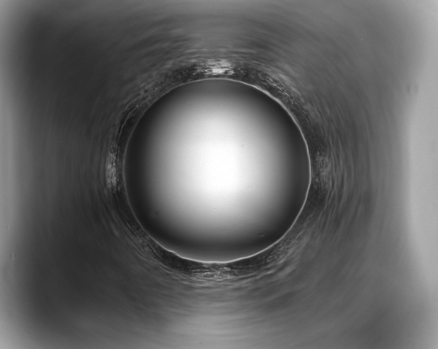 X0000088751442200705311503