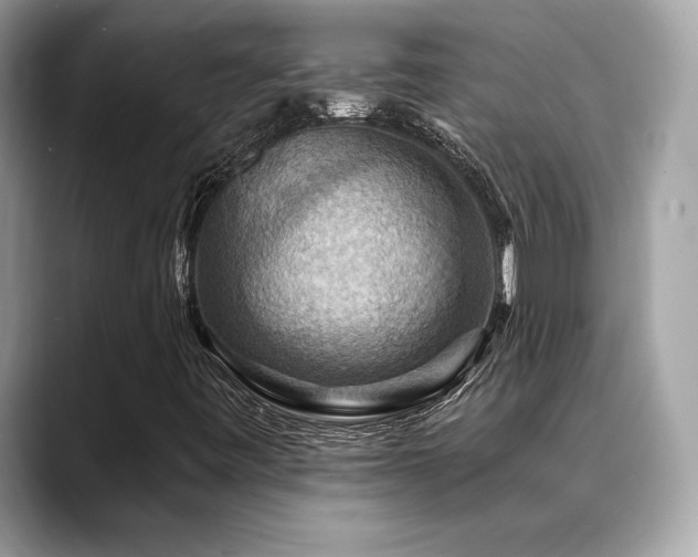 X0000088751443200705311503