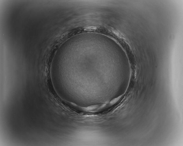 X0000088751445200705311503