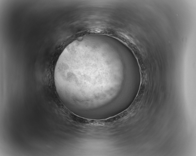 X0000088751446200705311503
