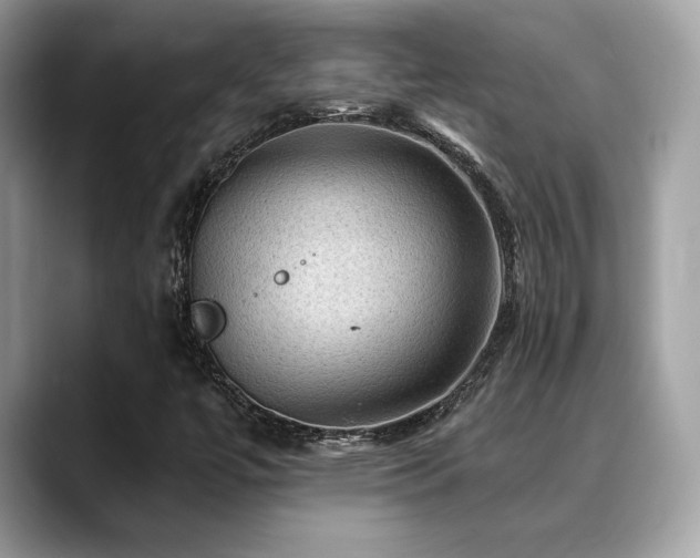 X0000088751447200705311503