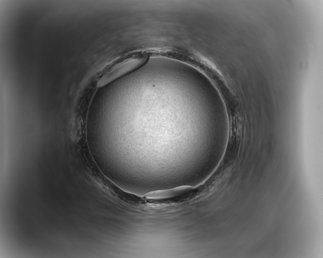 X0000088751448200705311503
