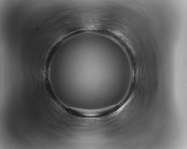 X0000088751449200705311503