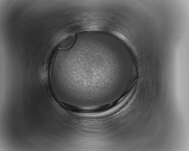 X0000088751450200705311503