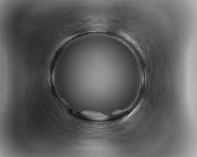 X0000088751453200705311503