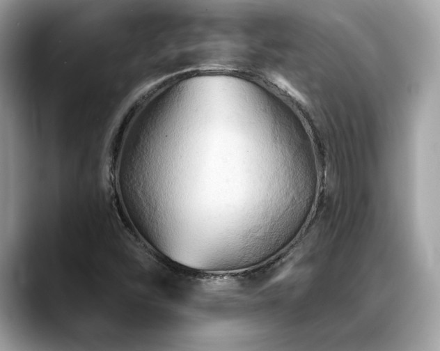 X0000088751454200705311503