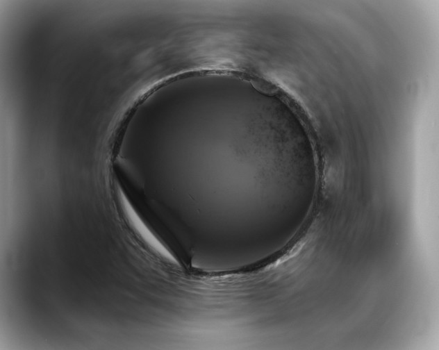 X0000088751455200705311503