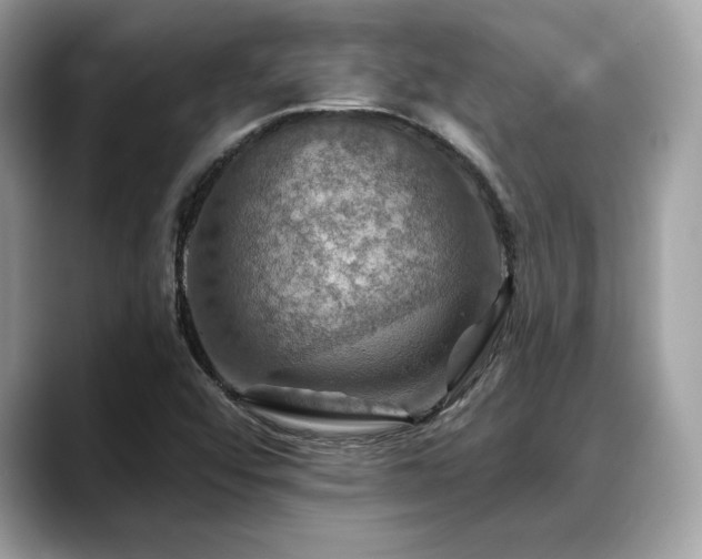 X0000088751456200705311503