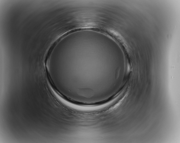 X0000088751457200705311503