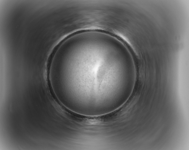 X0000088751460200705311503