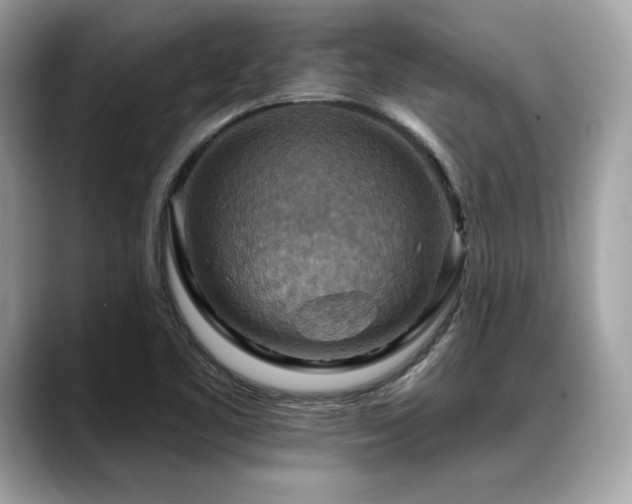 X0000088751461200705311503