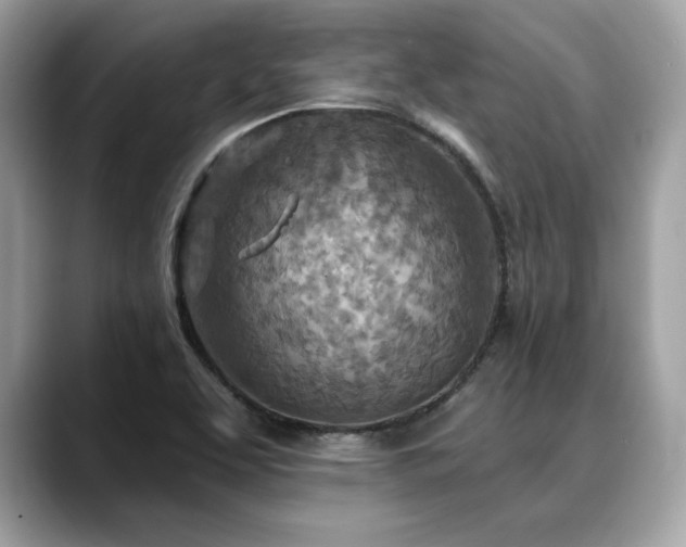 X0000088751463200705311503