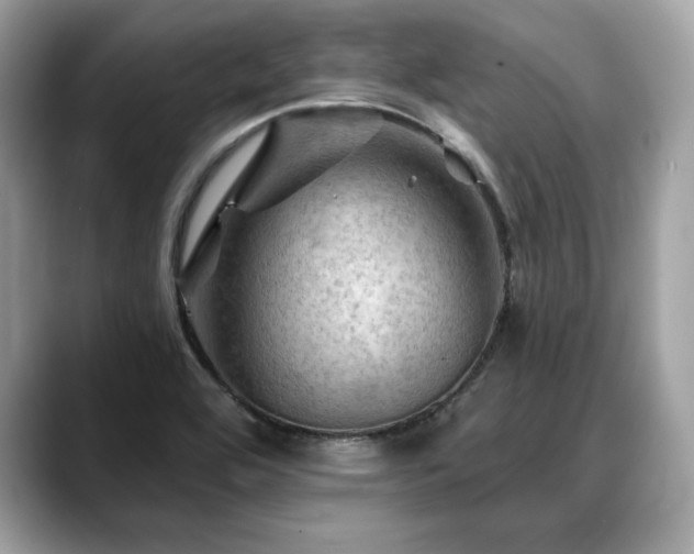 X0000088751464200705311503