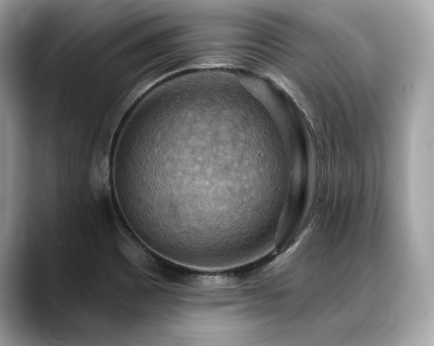 X0000088751465200705311503