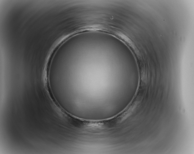 X0000088751466200705311503