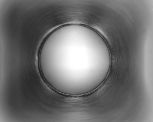 X0000088751468200705311503
