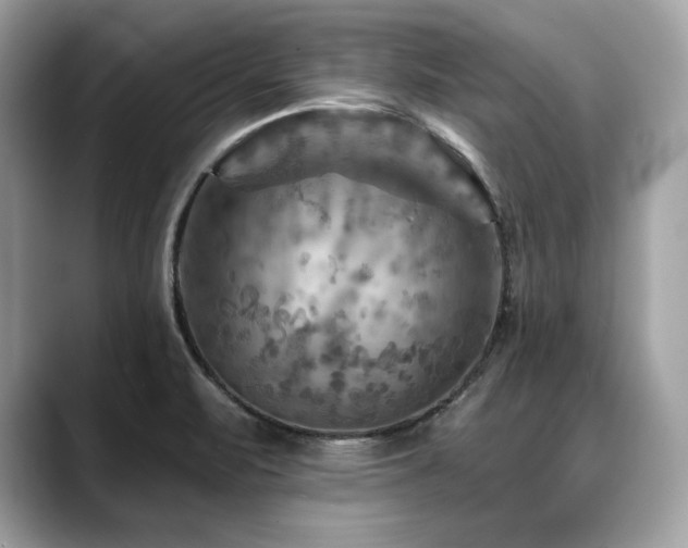 X0000088751471200705311503