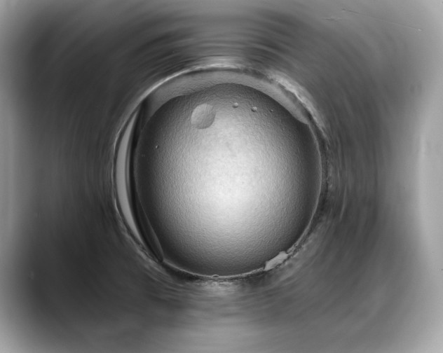 X0000088751473200705311503