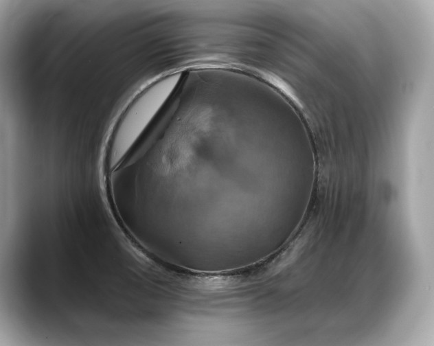 X0000088751474200705311503
