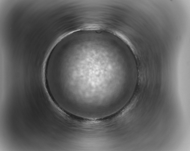 X0000088751475200705311503