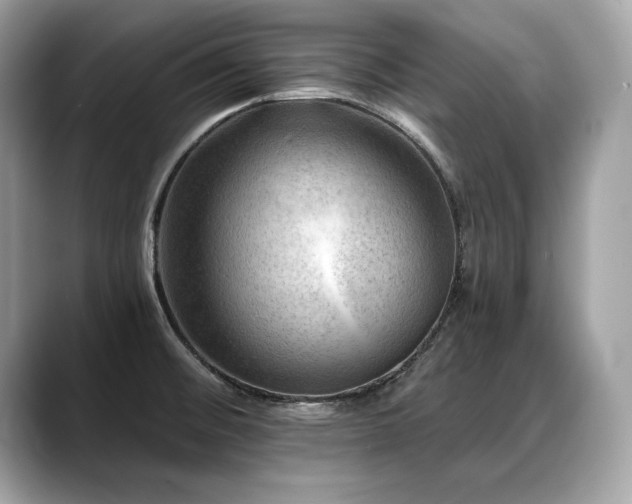 X0000088751476200705311503