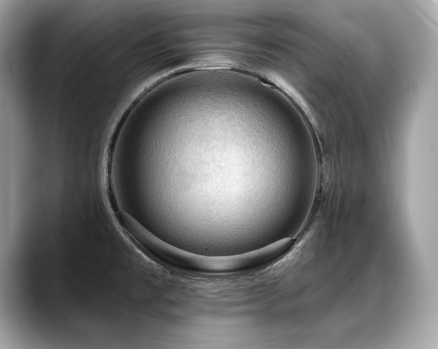 X0000088751477200705311503
