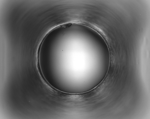 X0000088751479200705311503