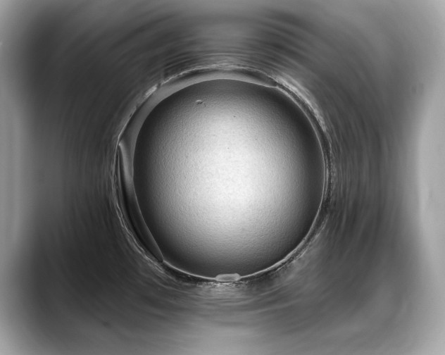 X0000088751481200705311503