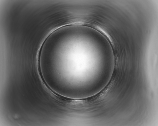 X0000088751483200705311503