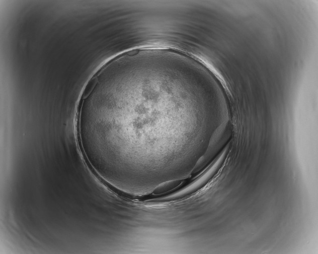 X0000088751484200705311503