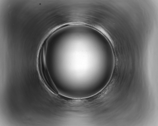 X0000088751485200705311503