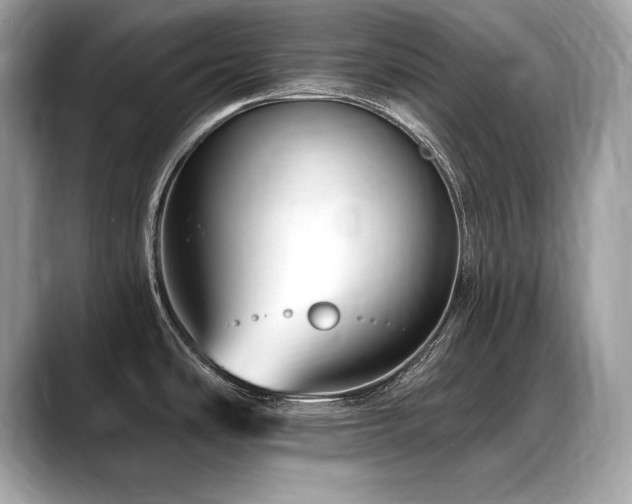 X0000088751486200705311503