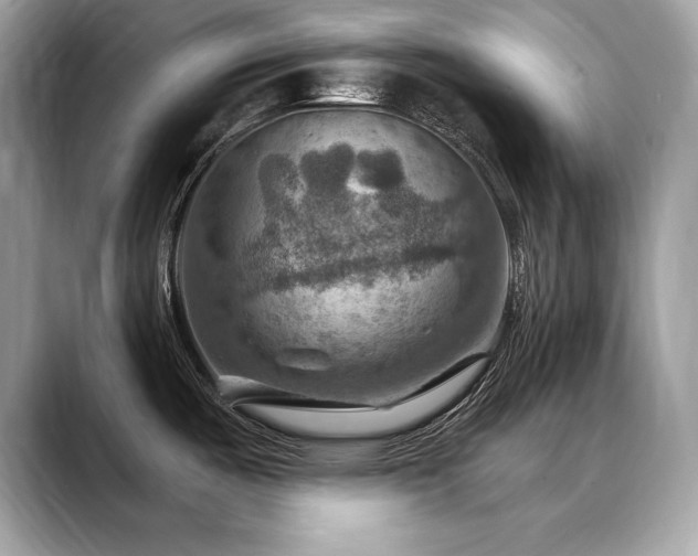 X0000088751487200705311503