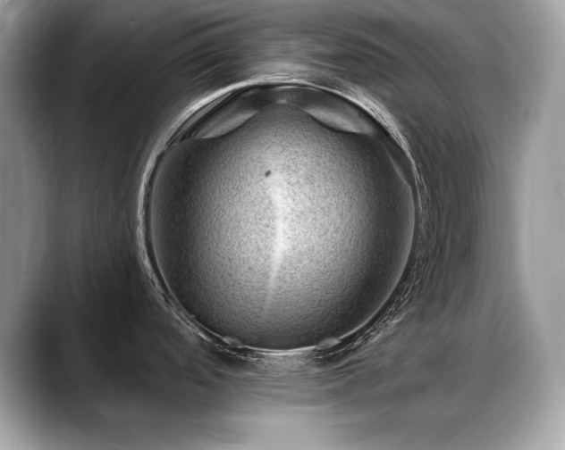 X0000088751488200705311503