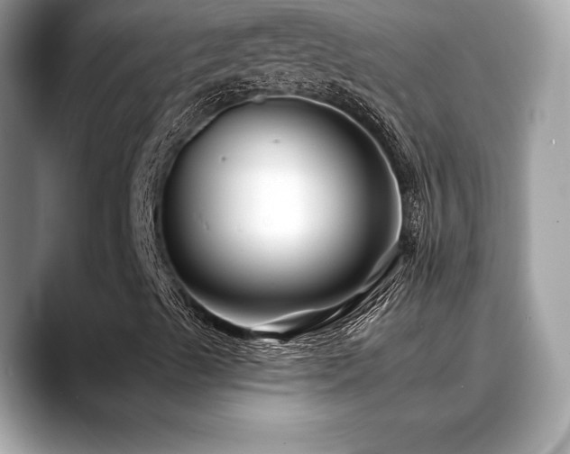 X0000088751489200705311502