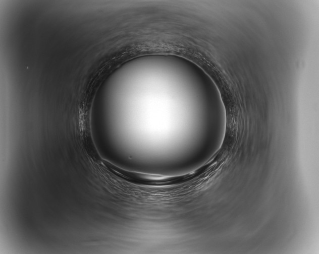 X0000088751490200705311502