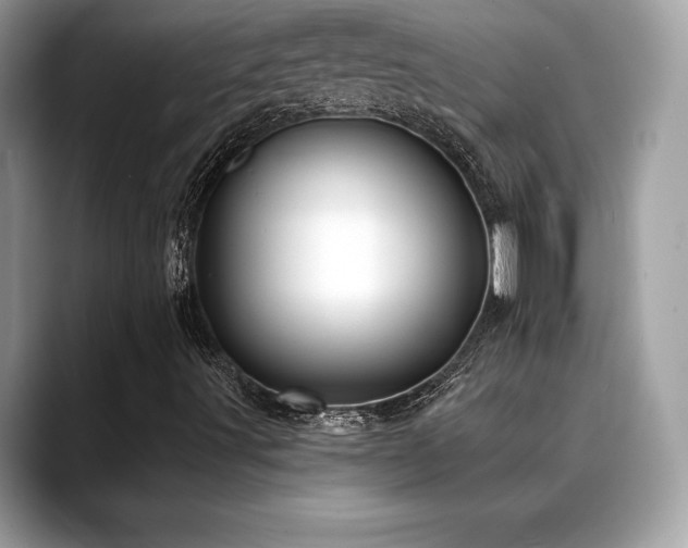 X0000088751491200705311502