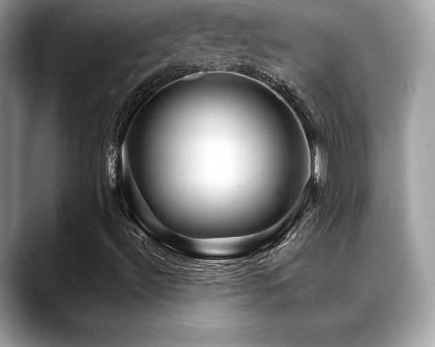 X0000088751492200705311502